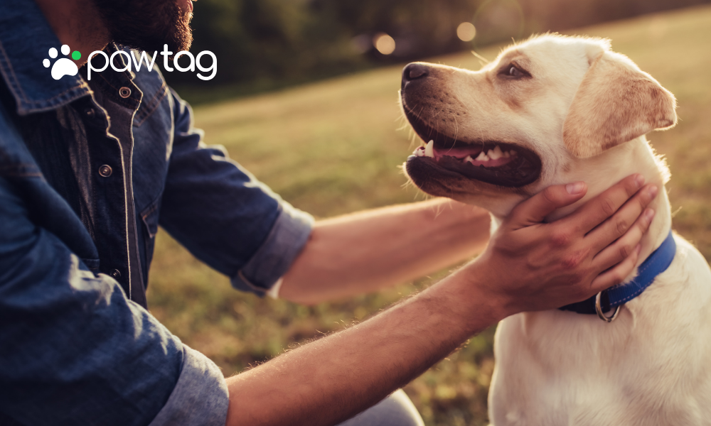 How Pets Positively Impact Mental Health