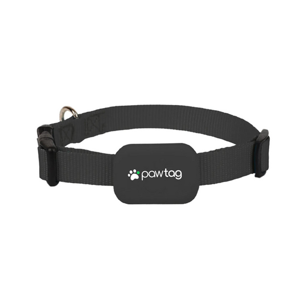 Amazon Tagg Gps Pet Tracker Tagg GPS Pet Tracker Dog And Cat Collar  Attachment, White